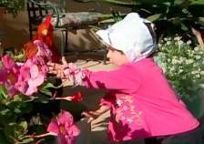 Baby Genius | Four Seasons!